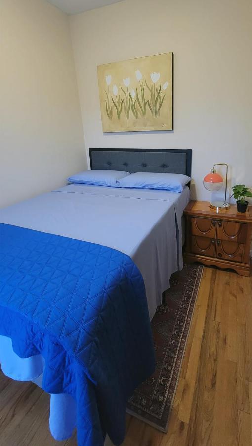 Bright & Cozy East Williamsburg 2 Bedroom Νέα Υόρκη Εξωτερικό φωτογραφία